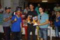 2º Festival de Arrancada Pista São José Eventos