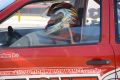 3ª Etapa Campeonato Brasileiro de Arrancada e Velopark Series 2013
