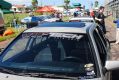 Festival de Arrancadas