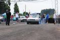 Festival de Arrancadas