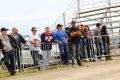 3ª Etapa Campeonato Serra/Serrano de Arrancadas 2014
