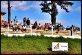 Tarumã Free Day