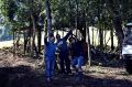 9ª Trilha Serafina Jeep Clube