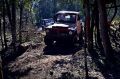 9ª Trilha Serafina Jeep Clube