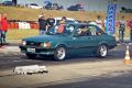 Super - 300